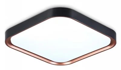 Потолочный светодиодный светильник FZ1265 BK/PGD черный/золото розовое 18W 5000K 250*250*60 (Без ПДУ)