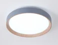 Потолочный светодиодный светильник с пультом FZ1320 GR/LWD серый/светлое дерево IP20 41W 3000-6400K D390*70 (ПДУ ИК)