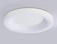 Потолочный светодиодный светильник с пультом FZ1401 WH белый IP20 48W 3000K-6500K D500*50 (ПДУ ИК)