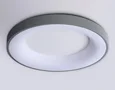 Потолочный светодиодный светильник с пультом FZ1402 GR серый IP20 48W 3000K-6500K D500*50 (ПДУ ИК)