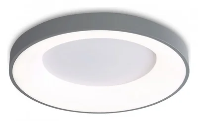 Потолочный светодиодный светильник с пультом FZ1402 GR серый IP20 48W 3000K-6500K D500*50 (ПДУ ИК)
