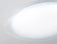 Светильник светодиодный потолочный FZ1601 FR матовый IP20 40W 5000K 410*100 (Без ПДУ)