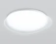 Светильник светодиодный потолочный FZ1605 FR матовый IP20 60W 5000K 510*100 (Без ПДУ)