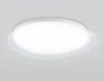 Светильник светодиодный потолочный FZ1605 FR матовый IP20 60W 5000K 510*100 (Без ПДУ)