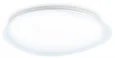 Светильник светодиодный потолочный FZ1605 FR матовый IP20 60W 5000K 510*100 (Без ПДУ)