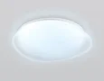 Светильник светодиодный RGB с пультом FZ1610 FR матовый IP20 40W 3000-6500K+RGB 410*100 (ПДУ ИК)