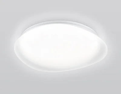 Светильник светодиодный RGB с пультом FZ1610 FR матовый IP20 40W 3000-6500K+RGB 410*100 (ПДУ ИК)