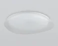 Светильник светодиодный RGB с пультом FZ1615 FR матовый IP20 60W 3000-6500K+RGB 510*100 (ПДУ ИК)