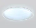 Светильник светодиодный RGB с пультом FZ1615 FR матовый IP20 60W 3000-6500K+RGB 510*100 (ПДУ ИК)
