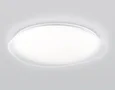 Светильник светодиодный RGB с пультом FZ1615 FR матовый IP20 60W 3000-6500K+RGB 510*100 (ПДУ ИК)