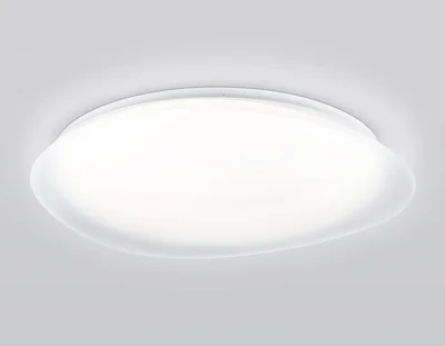 Светильник светодиодный RGB с пультом FZ1615 FR матовый IP20 60W 3000-6500K+RGB 510*100 (ПДУ ИК)