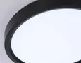 Светильник светодиодный ультратонкий 3000K-6500K с CCT-переключателем FZ1902 BK черный IP54 13W 3000K-6500K CCT-переключатель D230*25 (Без