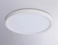 Светильник светодиодный ультратонкий 3000K-6500K с CCT-переключателем FZ1903 WH белый IP54 20W 3000K-6500K CCT-переключатель D300*25 (Без