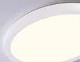 Светильник светодиодный ультратонкий 3000K-6500K с CCT-переключателем FZ1903 WH белый IP54 20W 3000K-6500K CCT-переключатель D300*25 (Без