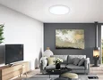 Светильник светодиодный ультратонкий с высокой степенью защиты IP54 FZ1955 WH белый IP54 26W 5000K D370*15 (Без ПДУ)