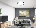 Светильник светодиодный ультратонкий с высокой степенью защиты IP54 FZ1957 BK черный IP54 26W 5000K D370*15 (Без ПДУ)