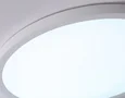 Светильник светодиодный ультратонкий с высокой степенью защиты IP54 FZ1959 WH белый IP54 40W 5000K D470*15 (Без ПДУ)