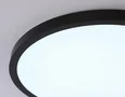 Светильник светодиодный ультратонкий с высокой степенью защиты IP54 FZ1961 BK черный IP54 40W 5000K D470*15 (Без ПДУ)