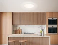 Умный светодиодный светильник Smart Ambrella Light 20W с Wi-Fi, Яндекс Алисой, Tuya, Smart Home, Alexa и ИК пультом FZ2001 WH белый IP54 2