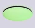 Умный светодиодный светильник Smart Ambrella Light 25W с Wi-Fi, Яндекс Алисой, Tuya, Smart Home, Alexa и ИК пультом FZ2005 BK черный IP54