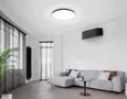 Умный светодиодный светильник Smart Ambrella Light 25W с Wi-Fi, Яндекс Алисой, Tuya, Smart Home, Alexa и ИК пультом FZ2005 BK черный IP54