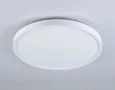 Потолочный светодиодный светильник FZ3001 WH белый IP44 24W+10W 6400+6400К D290*40 (Без ПДУ)