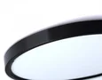 Потолочный светодиодный светильник FZ3050 BK черный IP44 24W+10W 6400+6400К D290*40 (Без ПДУ)