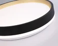 Светодиодный светильник RGB с пультом управления FZ604 BK/GD черный/золото IP20 46W 3000K-6500K+RGB D390*80 (ПДУ ИК)