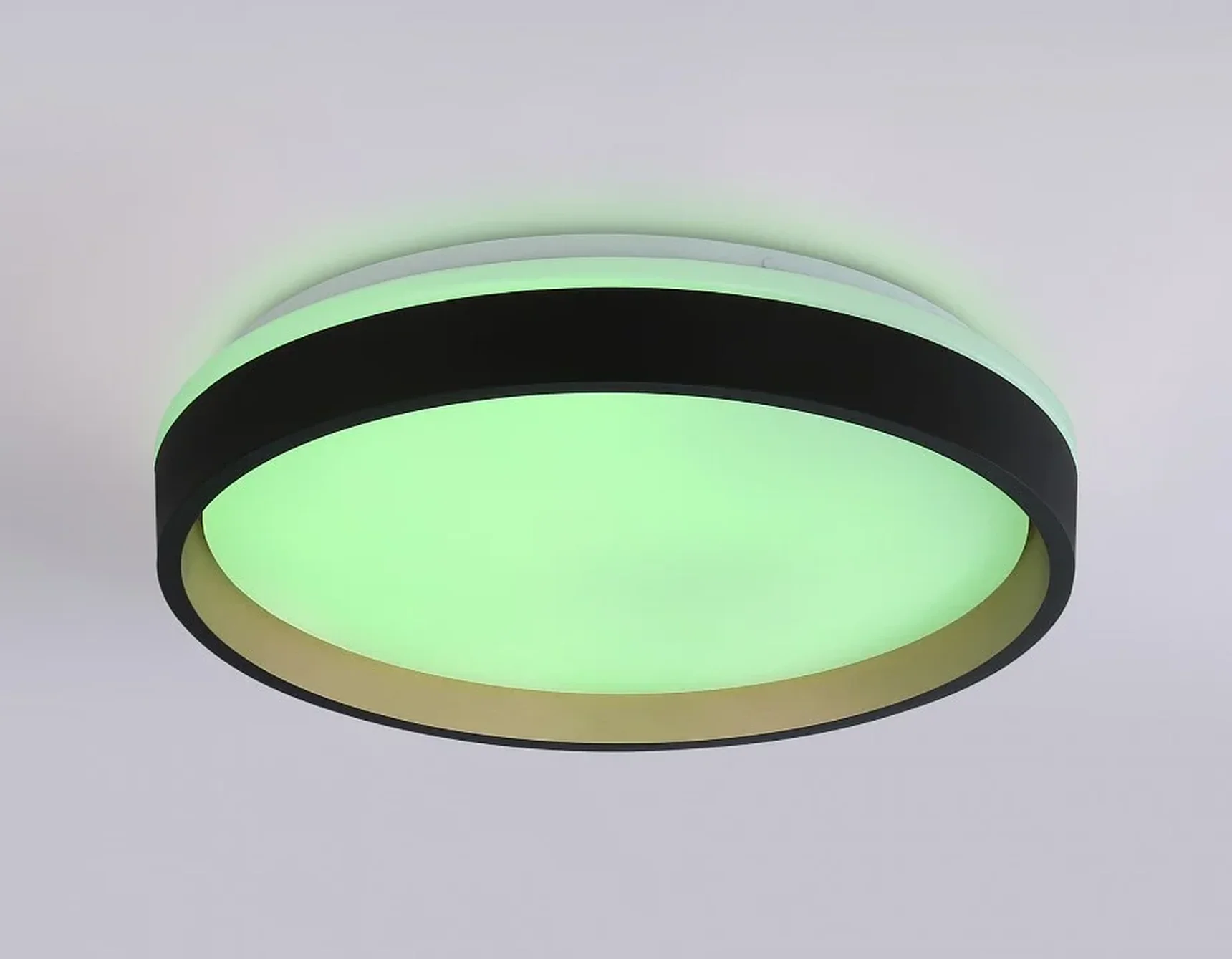 Светодиодный светильник RGB с пультом управления FZ604 BK/GD черный/золото IP20 46W 3000K-6500K+RGB D390*80 (ПДУ ИК)