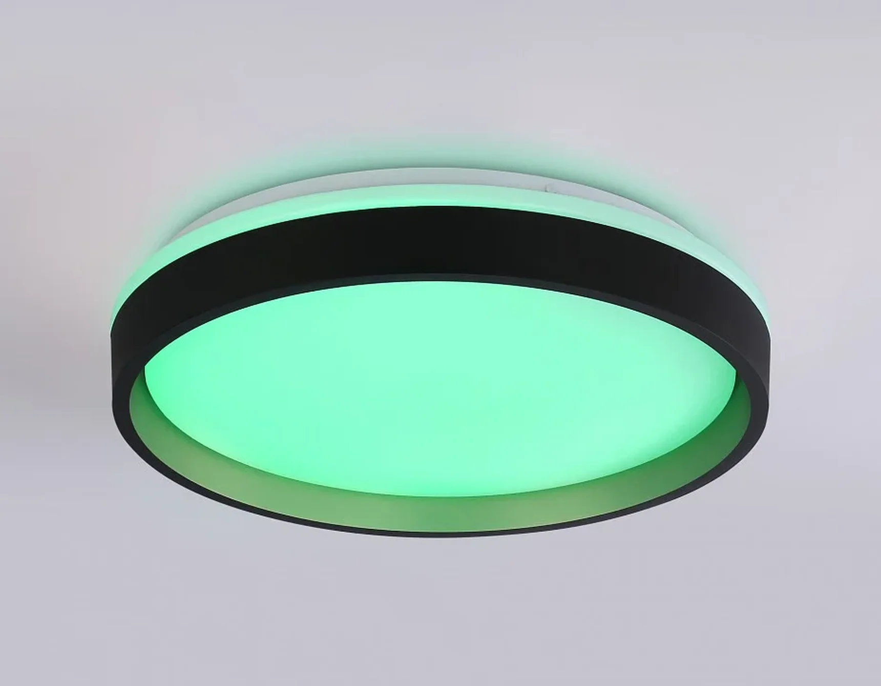Светодиодный светильник RGB с пультом управления FZ604 BK/GD черный/золото IP20 46W 3000K-6500K+RGB D390*80 (ПДУ ИК)