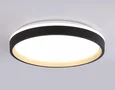 Светодиодный светильник RGB с пультом управления FZ610 BK/GD черный/золото IP20 66W 3000K-6500K+RGB D490*85 (ПДУ ИК)