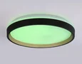 Светодиодный светильник RGB с пультом управления FZ610 BK/GD черный/золото IP20 66W 3000K-6500K+RGB D490*85 (ПДУ ИК)