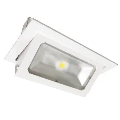 Встраиваемый светодиодный светильник (Поворотный) 220 Вольт, 42 Ватта, 100°, IP20, высота 120 мм, FLED-DL 007-42-4000К