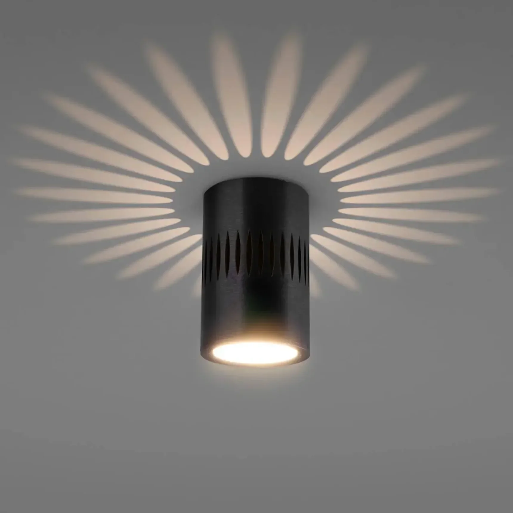 Потолочный светодиодный светильник Elektrostandard DLS026 7W 4200К черный 4690389167003