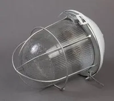 Светильник ЖКХ НСП "Желудь" General 02-100-002.01, 437822, прозрачный, белый, с решеткой