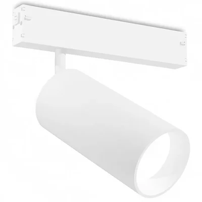 Светильник трековый GL1231 WH белый IP20 24W 3000K-6400K 220V 36° D65*140 (Без ПДУ)