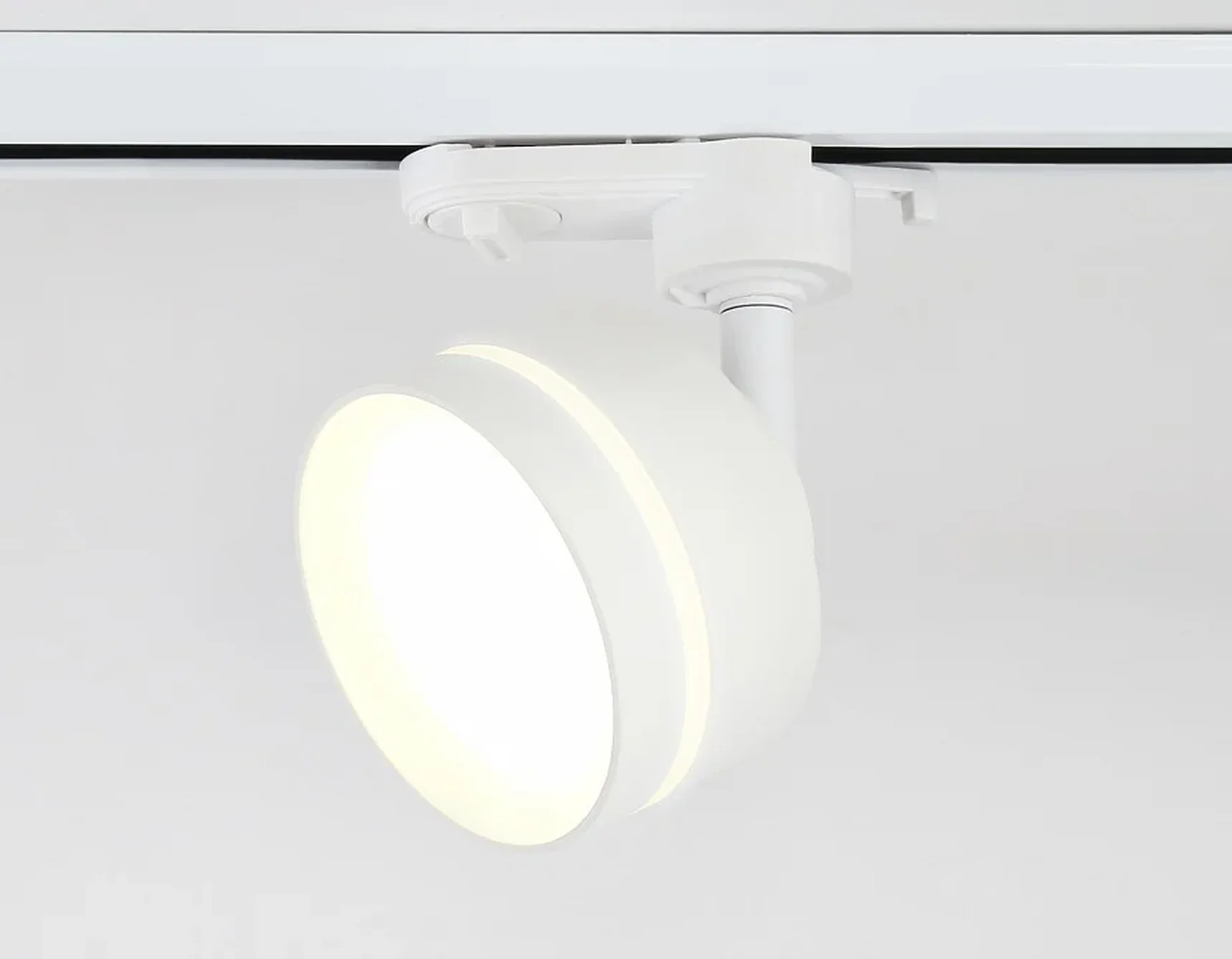 Cветильник трековый GL5384 WH/FR белый/белый матовый GX53 max 12W