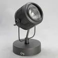 Спот Lussole Loft Haines GRLSP-8045