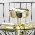 Накладной светильник Lussole Брукс 2 GRLSP-8251
