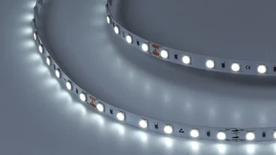 Лента светодиодная LUX, 5050, 60 LED/м, 14,4 Вт/м, 24В, IP33, Холодный белый (6000K), 000520