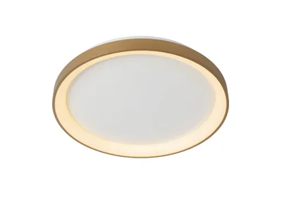 Потолочный светодиодный светильник Lucide Vidal 46103/38/02