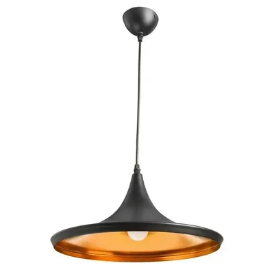 Светильник Arte Lamp CAPPELLO A3406SP-1BK