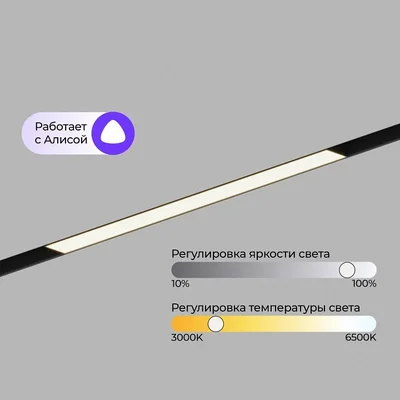 Трековый линейный светильник ElDeko Smart ZigBee 12Вт 300мм 3000-6500К чёрный