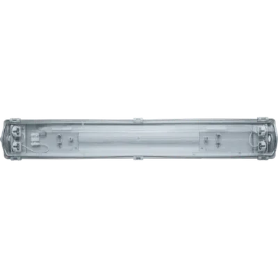 Светильник светодиодный ДПП/ДСП под светодиодные лампы DSP-04S-600-IP65-2хT8-G13 IP65 призма