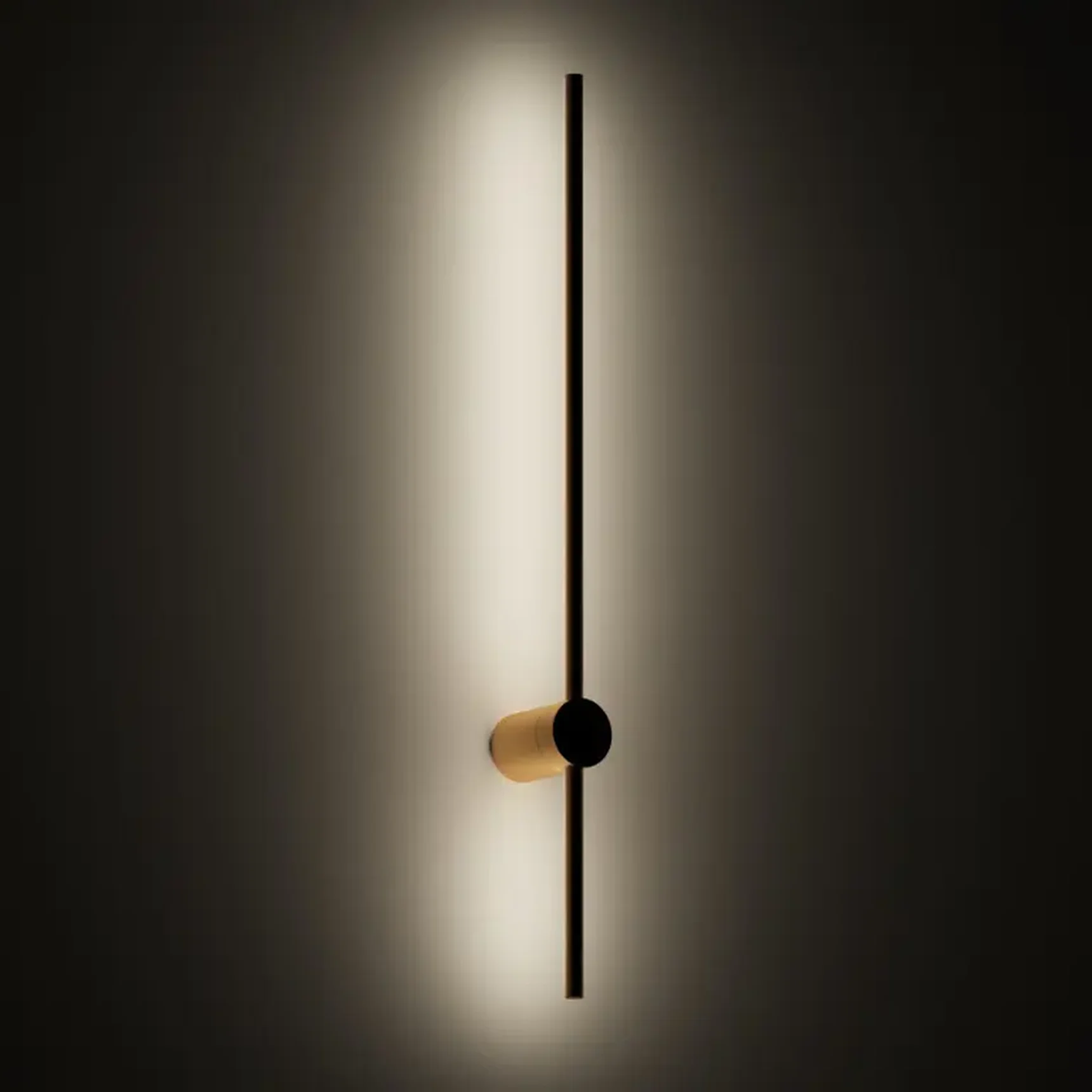 Настенный светильник Denkirs DK5012-SG