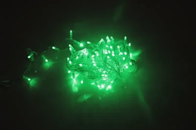 LED-PLS-100-10M-240V-G/C-W/O, Зеленая/прозрачны провод, соединяемая (без силового шнура) С КОЛПАЧКОМ