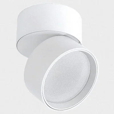IT02-006 white 3000K светильник потолочный