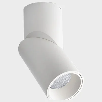 IT02-022 white 3000K LED 12W CRI:90 851lm 38* d65xh170mm Светильник потолочный