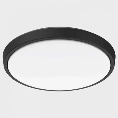 IT6011 LED 18W IP65 d320хh45mm Светильник потолочный уличный темно-серый
