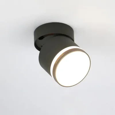 Спот на основании GWL-GX53-M-IP20 Одинарный Графит Вихрь